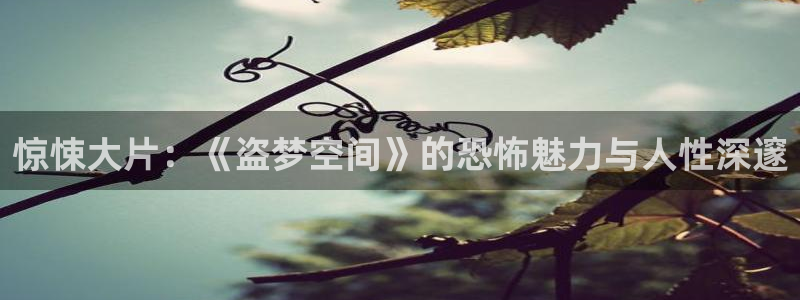 星辰影院官网入口