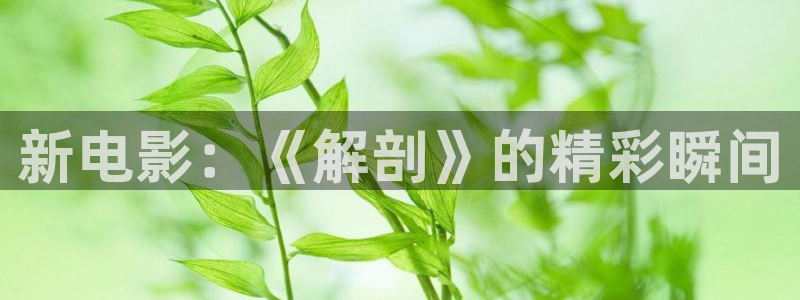 新闻图片