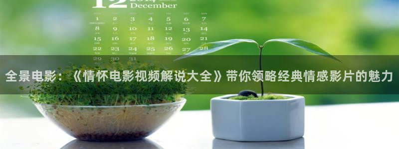 白日梦我电视剧星辰影院免费观看