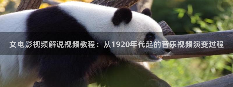 情圣星辰影院