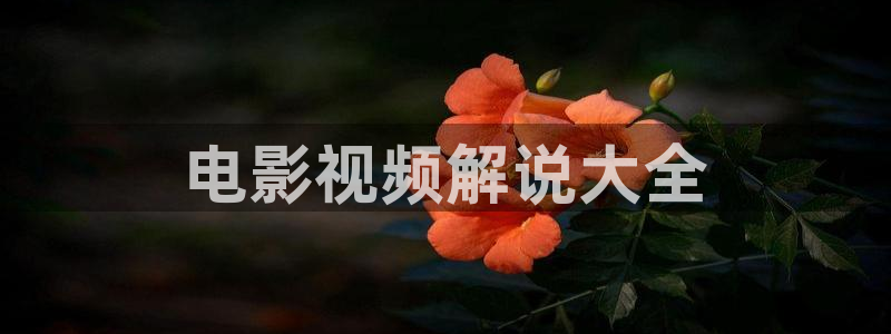 繁花第40集星辰影院在线观看