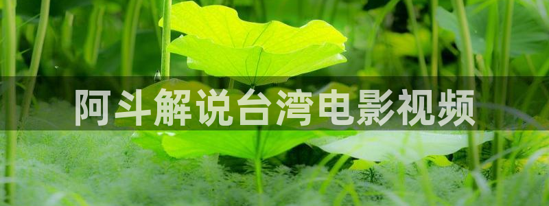 星辰高清在线看免费