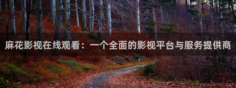 向风而行电视剧免费观看星辰影院