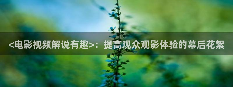 星辰影院 星辰影视 星空影院
