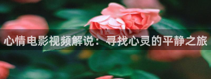 月光变奏曲电视剧免费观看星辰影院