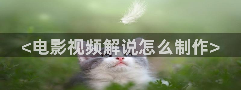 九霄寒夜暖电视剧星辰影视