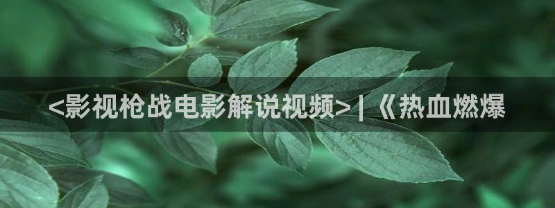 藏海传电视剧高清在线观看星辰影院