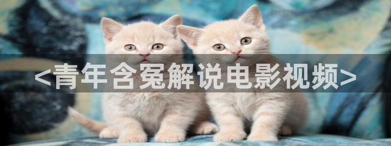 墨雨云间星辰影院在线观看免费观看电视