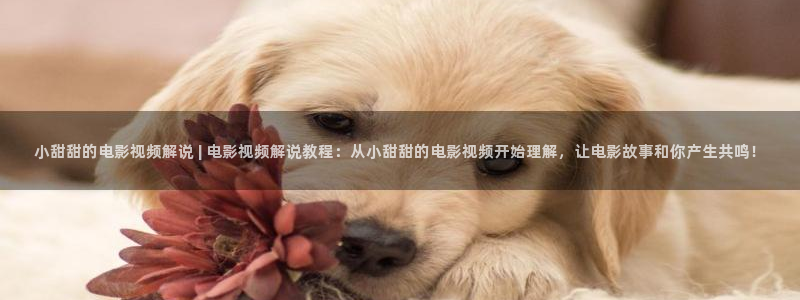 星辰视频影视大全免费观看