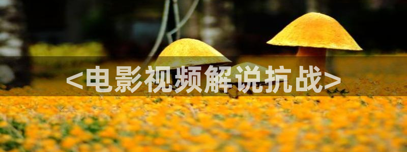欢乐颂3星辰影院免费观看