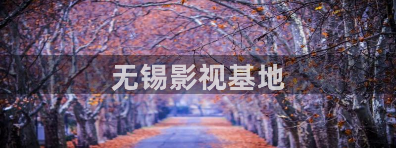 康熙王朝第50集在线观看星辰影视