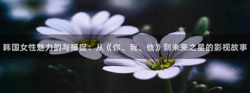 黑狐电视剧在线观看星辰影院