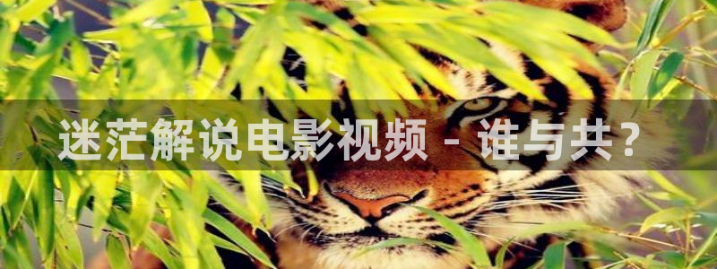星辰影视大全免费观看