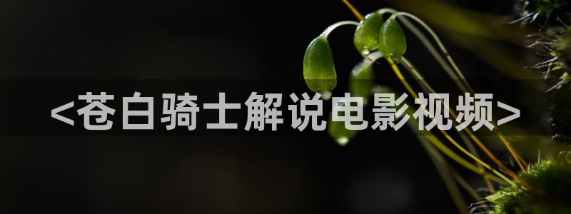星辰高电影院今日电影